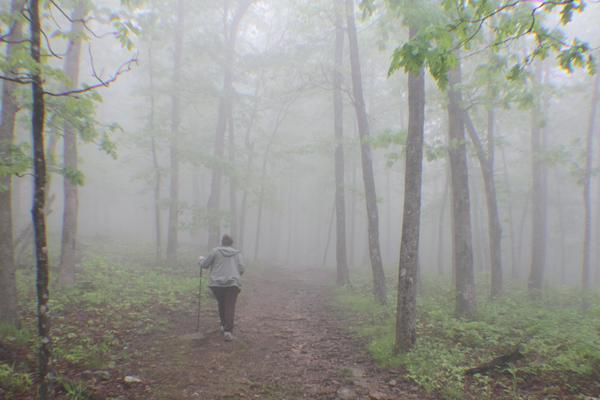 A person with a trekking pole hikes along a trail through a forest in dense fog.de.