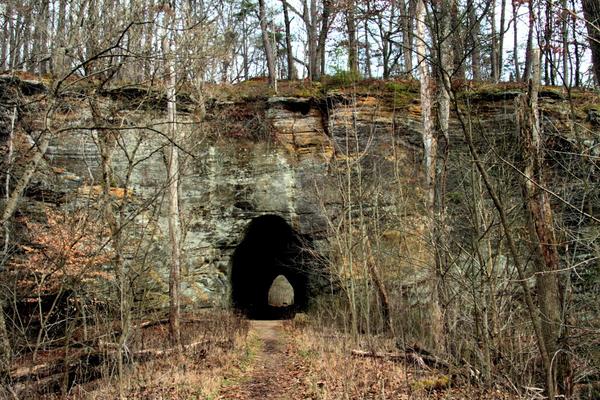 A large, dark tunnel goes through a rocky cliff in a forested area. Bare trees surround the entrance, and the ground is covered with dry grass and fallen leaves. The cliff face shows layers of exposed rock.