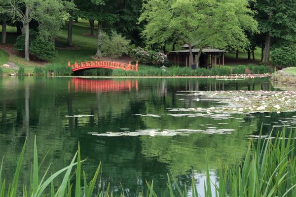  pond surrounded by green grass and trees, with water lilies on the surface. A small red footbridge crosses the water, and a small building is visible in the background.