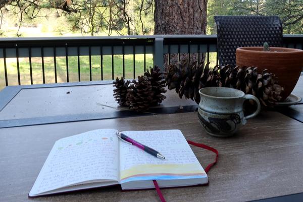 An open notebook with a pen across it lies on a table next to a coffee mug surrounded by large pine cones and a flower pot. In the background beyond a metal railing is a tree trunk and a green and brown field.