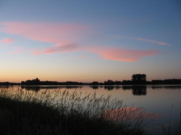The calm lake at Fernhill Wetlands reflects the pastel hues of pink and orange clouds at dawn. Grasses in the foreground silhouette against the sky, with trees lining the opposite shore. The water is smooth, mirroring the colorful sky above.