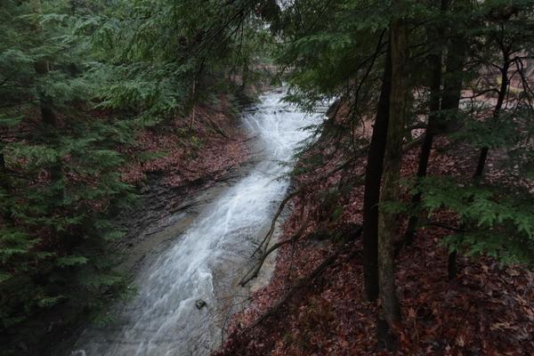 A cascading waterfall flows through a forested area of Cuyahoga Valley National Park, surrounded by evergreen trees and fallen leaves. The water cascades over rocks, forming a narrow stream. This misty and serene scene conveys a deep sense of tranquility in nature.