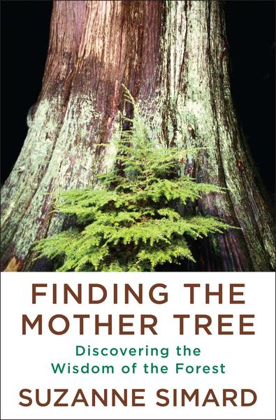 ook cover with large tree trunk covered with lichens behind a small green sapling. Below is text with the book title, Finding the Mother Tree: Discovering the Wisdom of the Forest, Suzanne Simard.