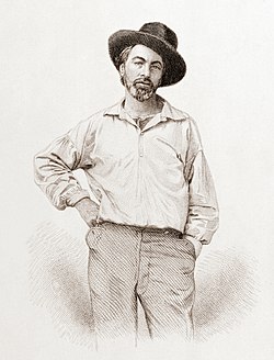 Engraved portrait of Walt Whitman in his mid-30sstanding casually with one hand in his pocket and the other resting on his hip. He wears loose trousers, an open-collared shirt, and a wide-brimmed hat tilted slightly back. His head is cocked to one side, and he gazes directly at the viewer with a relaxed,
confident expression.