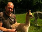 Alpaca-Ranch