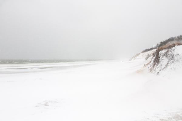 "Blizzard" - First Encounter Beach, Cape Cod, MA