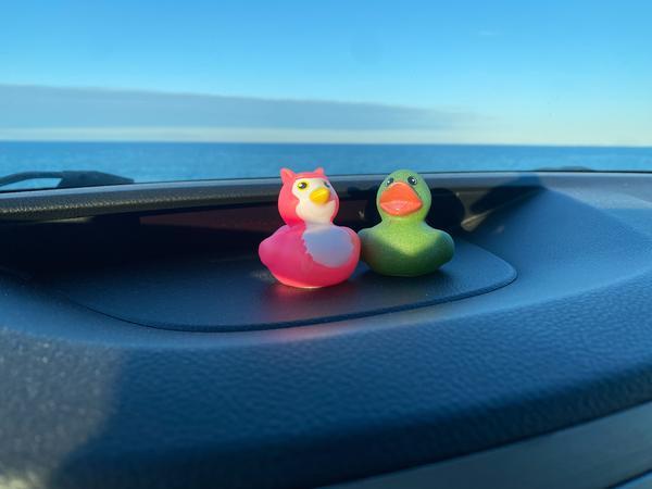 A bright pink and green and pink duckie are on the car dashboard, the ocean in the background, hearing the news we're going on a road trip. A long one.