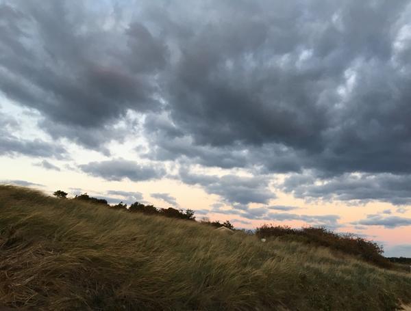 "Windy Grasses Sunset" - First Encounter Beach - Cape  Cod MA