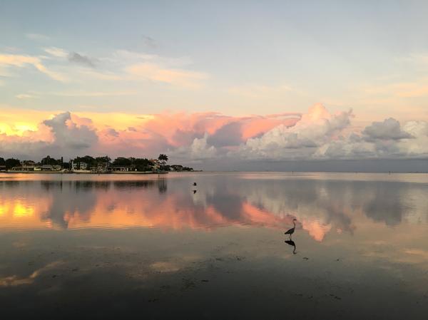 A lone egret steps carefully at sunset,
the pink glow and clouds reflected in the still water.