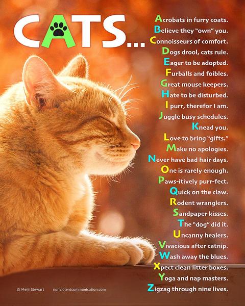 ABC Poem Cats