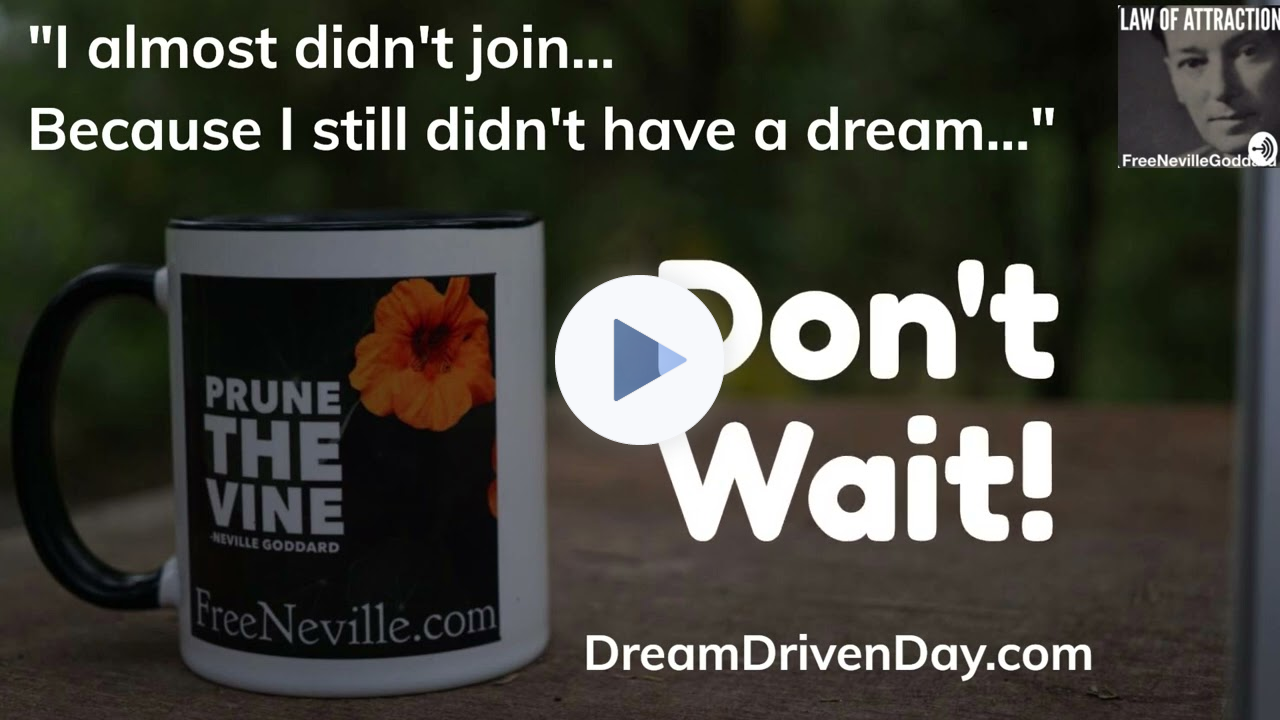 My Dream Driven Day Experience - I now have 17 Published Books - I Drive The Bus!