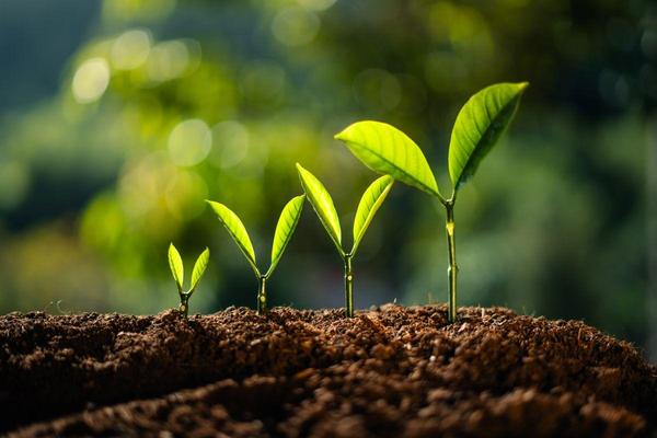 Recreating yourself and growth visual