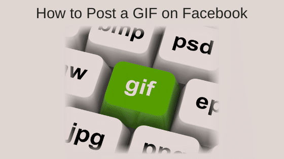 How to Post a GIF on Facebook