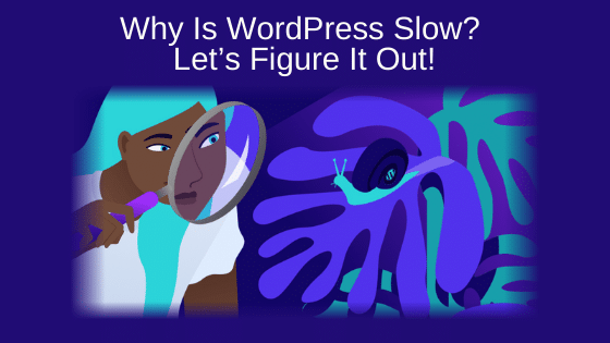 Why Is WordPress Slow? Let’s Figure It Out!
