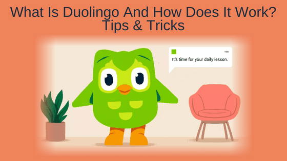 What Is Duolingo And How Does It Work? Tips & Tricks