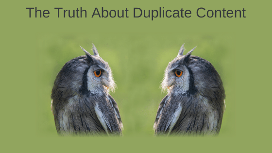 The Truth About Duplicate Content