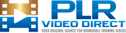 PLR Video Direct News You Can Use Weekly Newsletter
