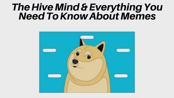The Hive Mind & Everything You Need To Know About Memes