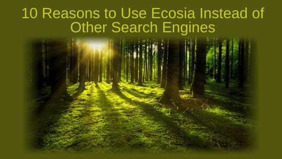 10 Reasons to Use Ecosia Instead of Other Search Engines