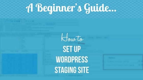Beginner’s Guide: How to Set Up a WordPress Staging Site