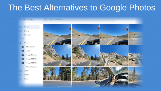 The Best Alternatives to Google Photos