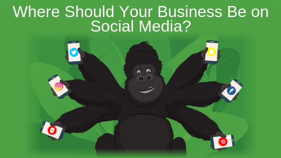 Where Should Your Business Be on Social Media?