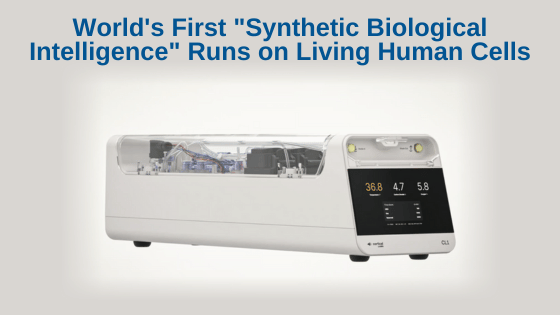 World's First "Synthetic Biological Intelligence" Runs on Living Human Cells