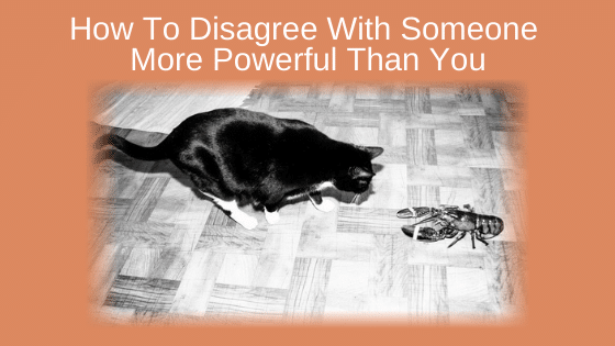 How to Disagree with Someone More Powerful than You