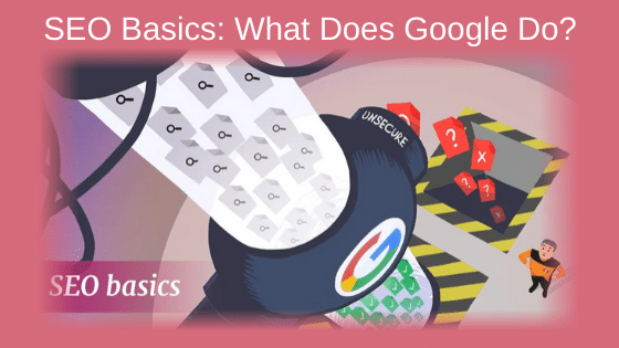 SEO Basics: What Does Google Do?