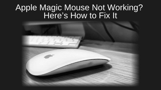 Apple Magic Mouse Not Working? Here’s How to Fix It