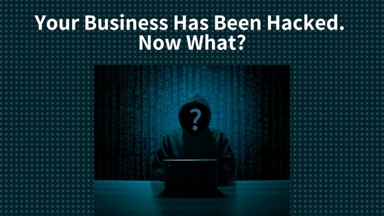 Your Business Has Been Hacked. Now What?