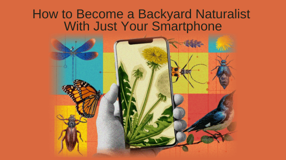 How to Become a Backyard Naturalist With Just Your Smartphone