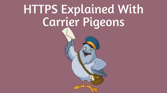 HTTPS explained with carrier pigeons