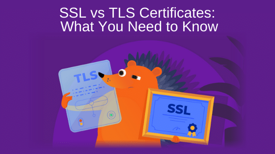 SSL vs TLS Certificates – What You Need to Know