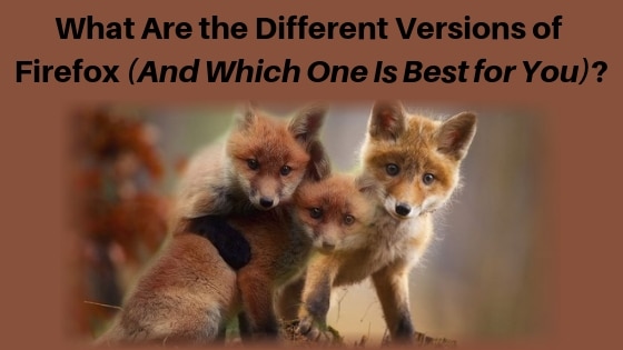 What Are the Different Versions of Firefox (And Which One Is Best for You)?