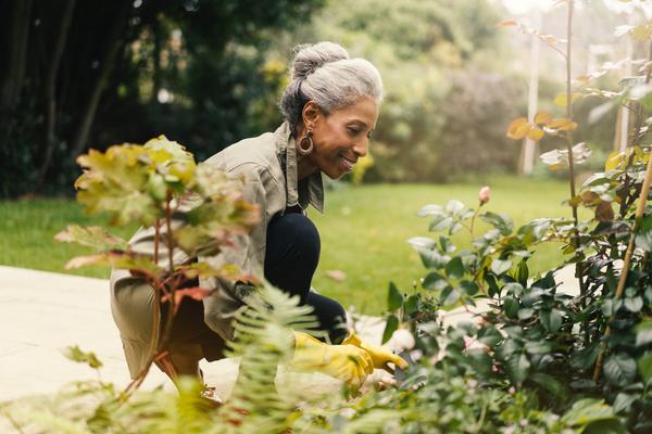 Why You Need to Feed Your Garden
