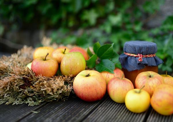  Peach, Apple and Pumpkin Fruit Butters