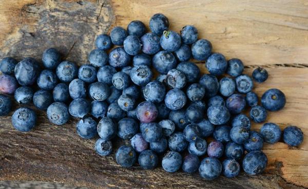 Blueberries in Winter