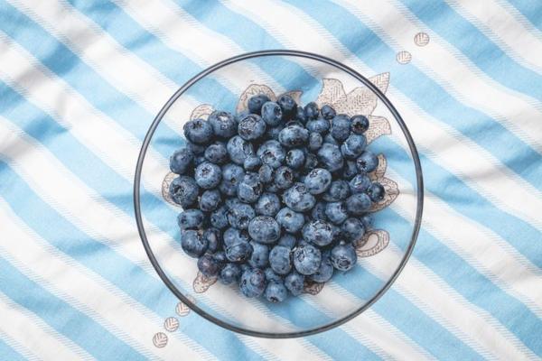 Blueberry Fruit Leather