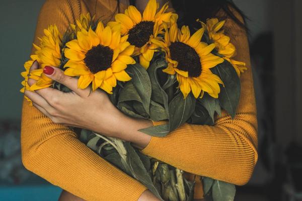 The Diverse Uses for Sunflowers