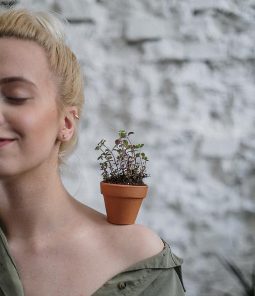  The Healing & Magical Power of House Plants
