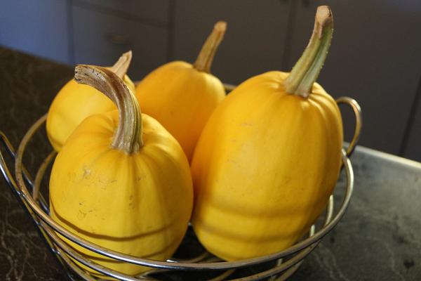  How to Freeze Spaghetti Squash