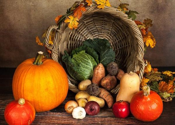 10 Autumn Foods with Long Shelf Life