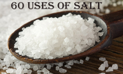 Sixty Uses of Salt