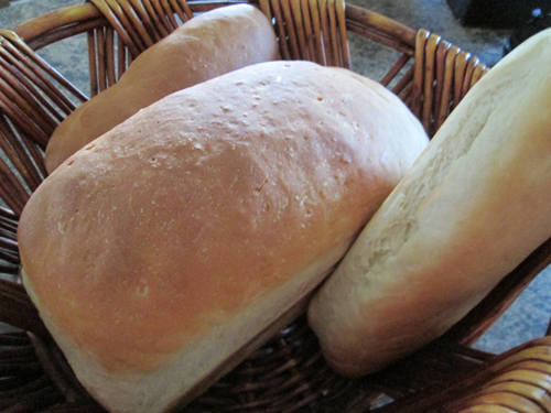 Homemade WHite Bread Recipe