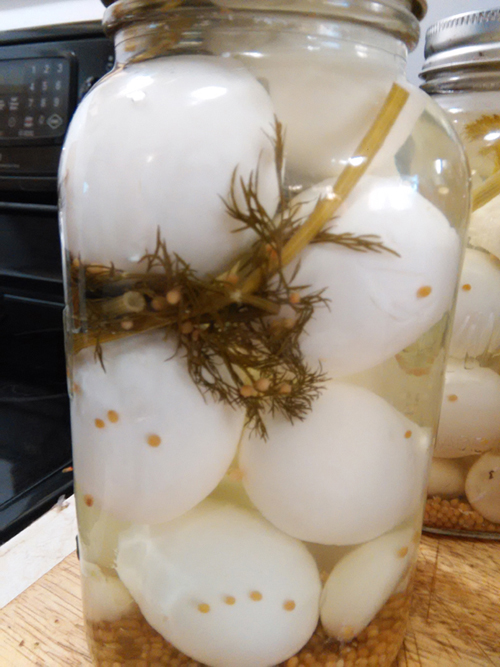 Dill Pickled Eggs
