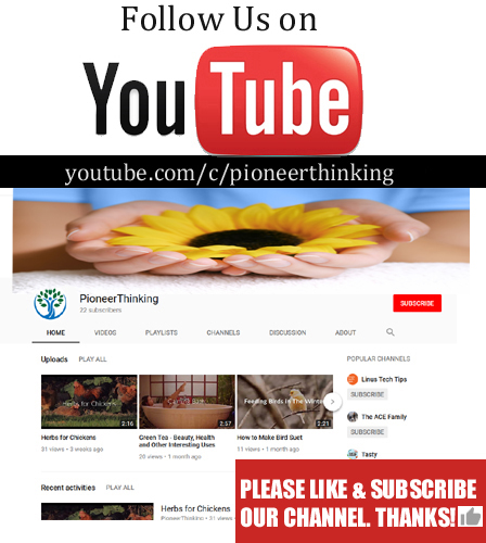 Pioneerthinking.com Youtube Channel