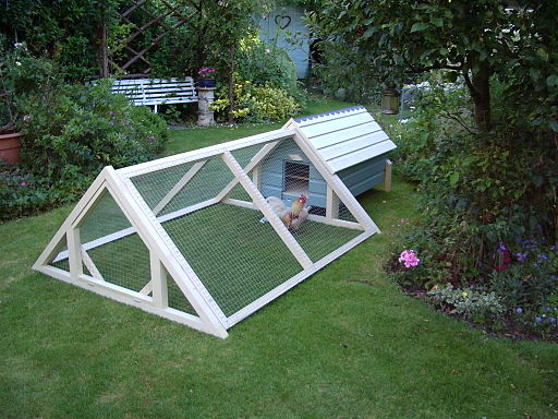 Materials and Tools for a Chicken Pen