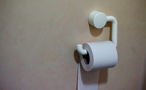 What People Used Before Toilet Paper