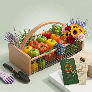 Harvest Basket